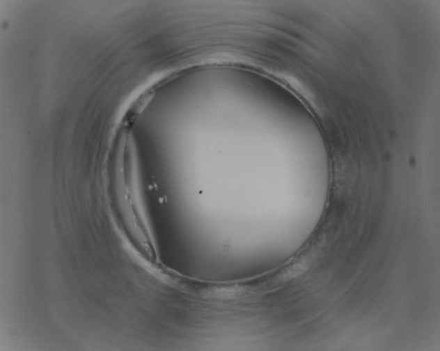 X0000077381134200611101723