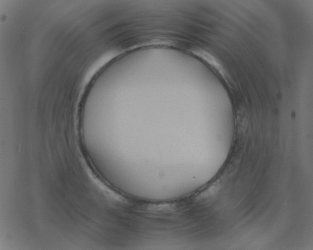 X0000077381135200611101723