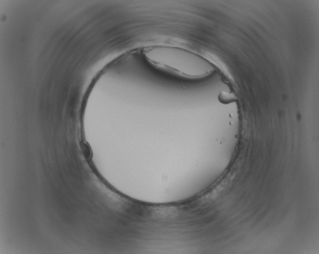 X0000077381136200611101723