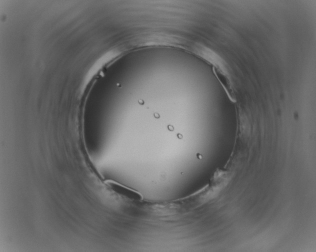 X0000077381138200611101723