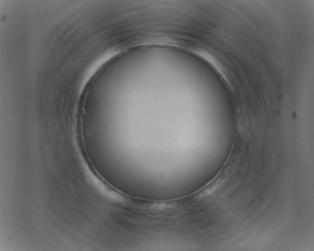 X0000077381139200611101723