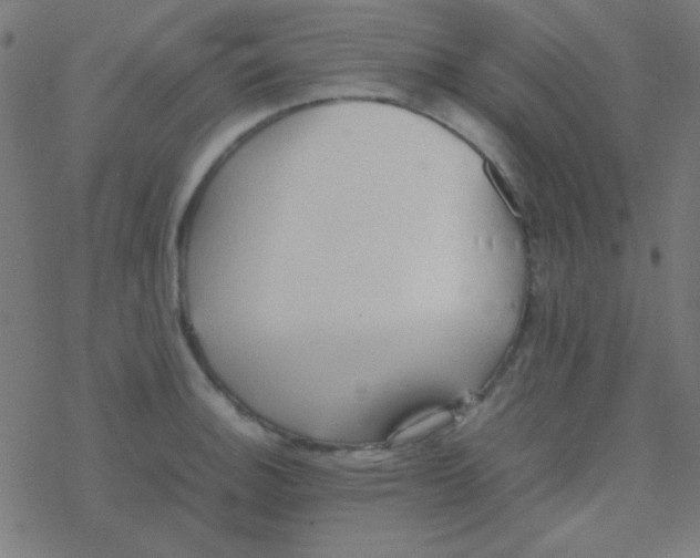 X0000077381140200611101723