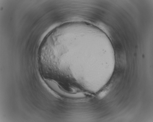 X0000077381142200611101723