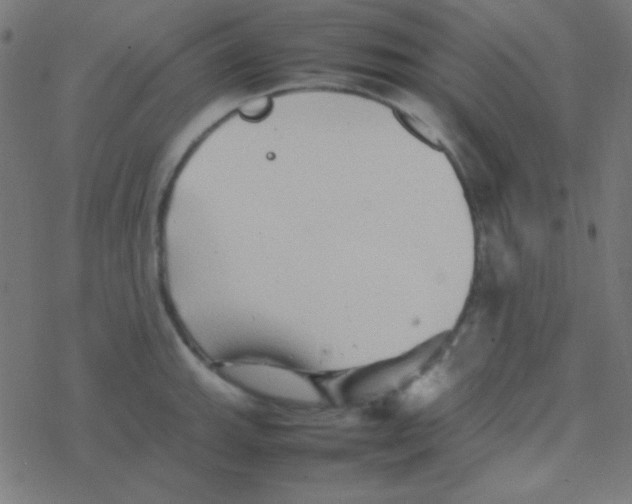 X0000077381143200611101723