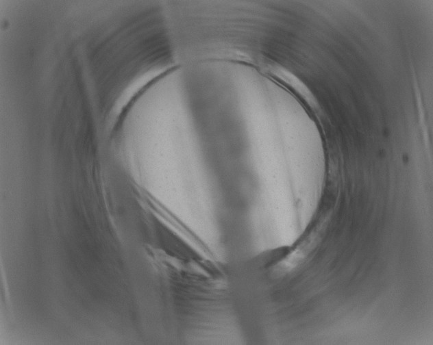 X0000077381144200611101723