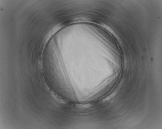 X0000077381145200611101723