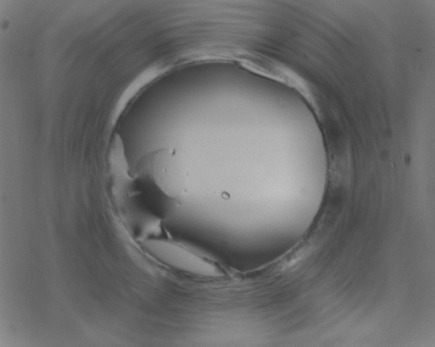 X0000077381146200611101723