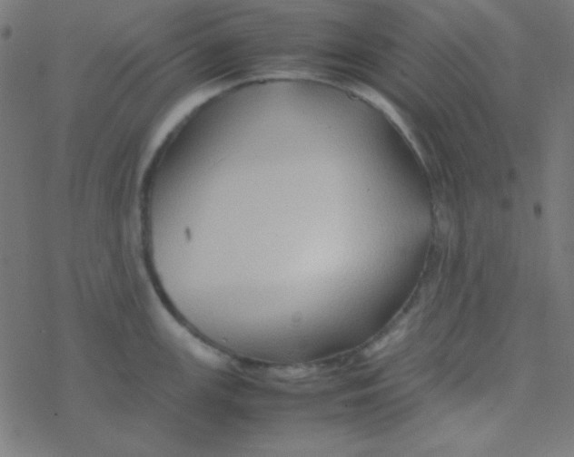 X0000077381147200611101723