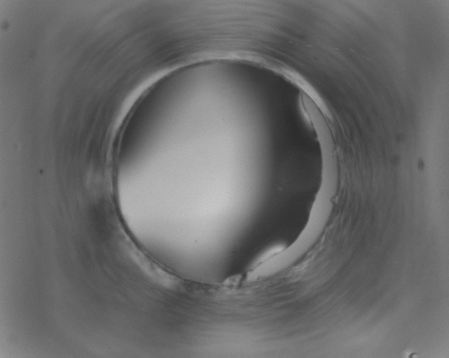 X0000077381148200611101723