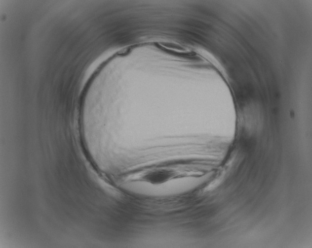 X0000077381149200611101723