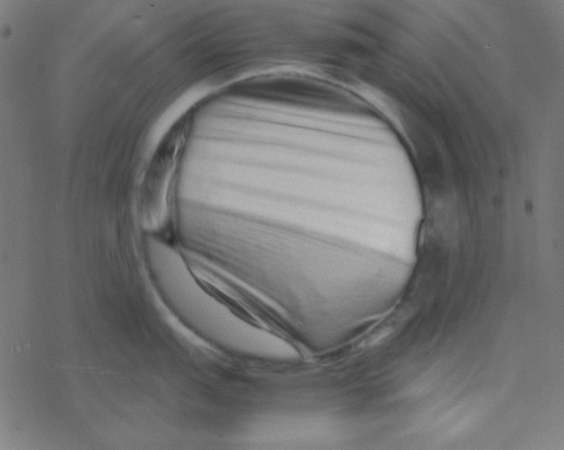 X0000077381151200611101723