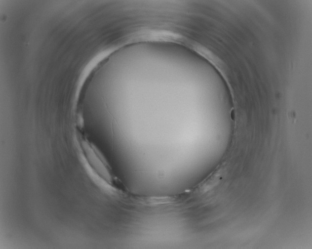 X0000077381152200611101723