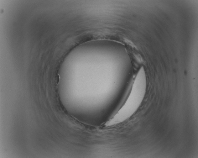 X0000077381153200611101722