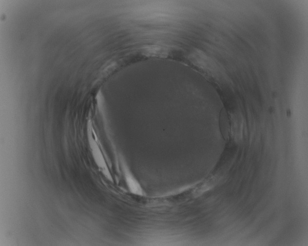 X0000077381154200611101722