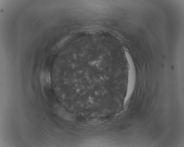 X0000077381155200611101722