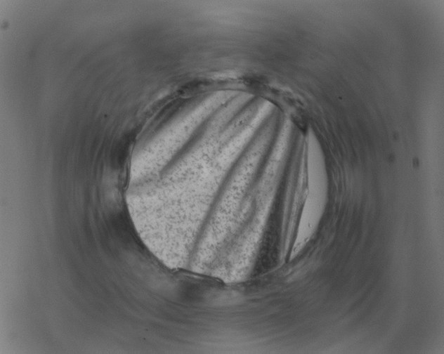 X0000077381156200611101722