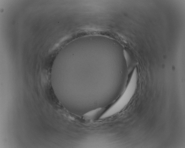 X0000077381157200611101722