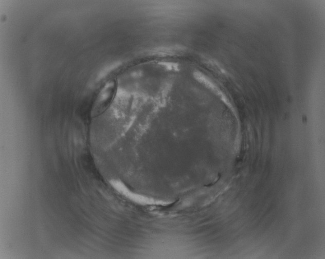 X0000077381158200611101722