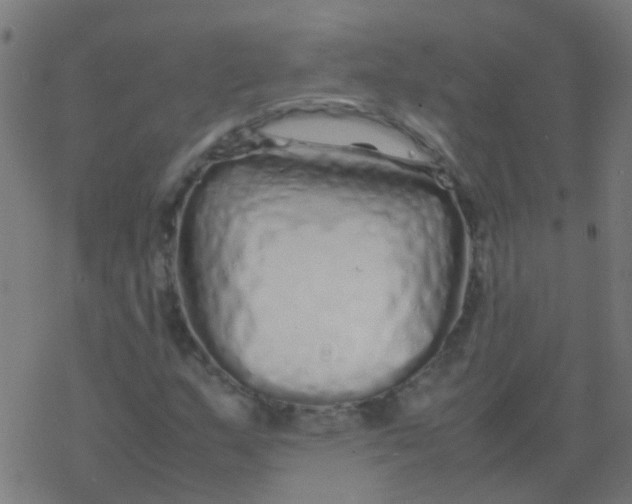 X0000077381159200611101722