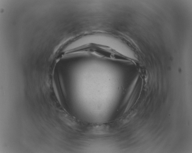 X0000077381160200611101722