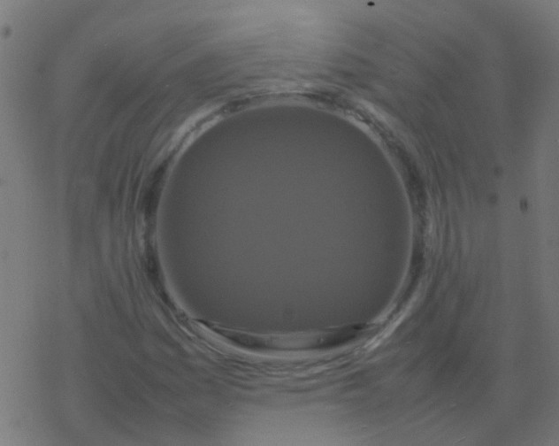 X0000077381161200611101722