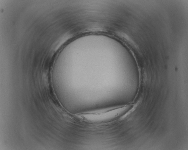 X0000077381162200611101722