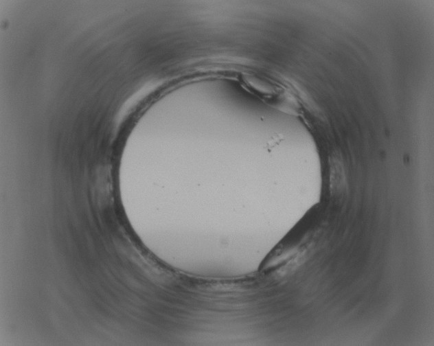 X0000077381164200611101722