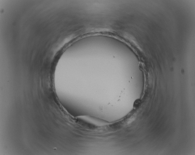 X0000077381165200611101722