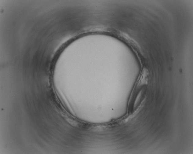 X0000077381166200611101722