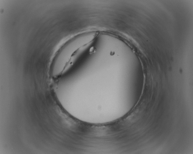 X0000077381168200611101722