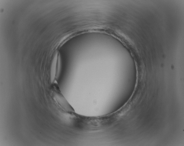 X0000077381169200611101722