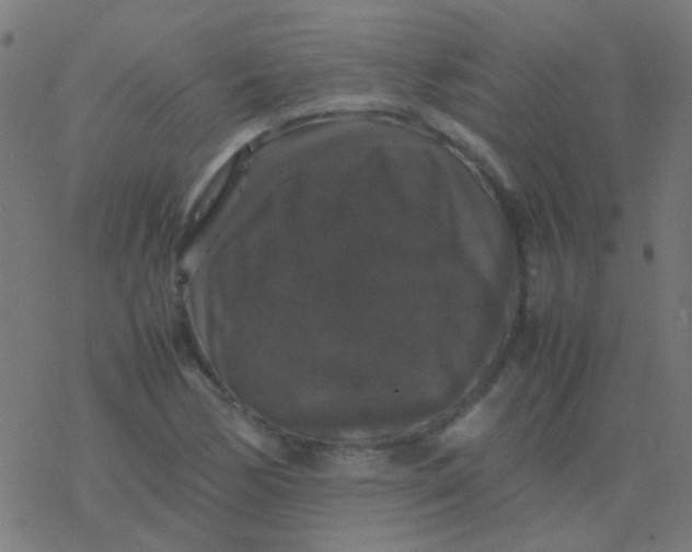 X0000077381170200611101722