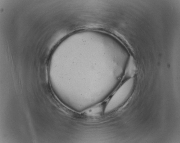 X0000077381171200611101722