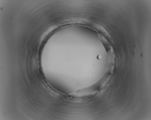 X0000077381172200611101722