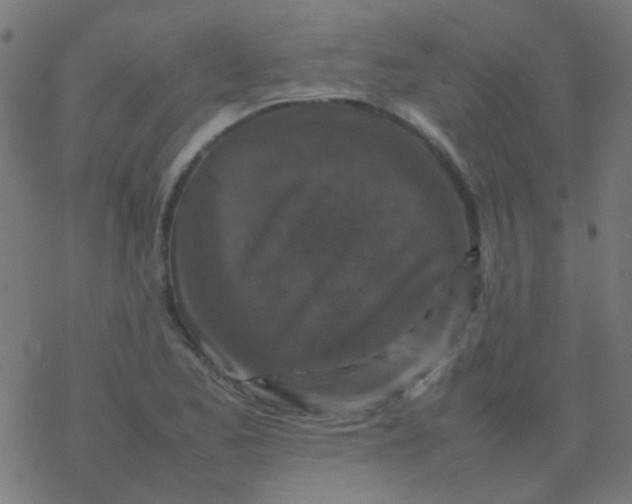 X0000077381173200611101722