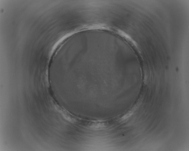 X0000077381174200611101722