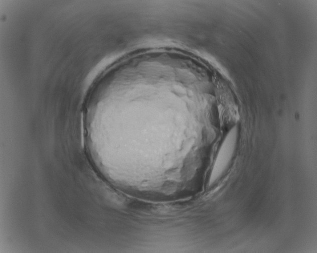 X0000077381175200611101722