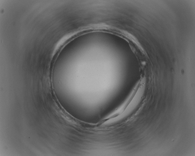 X0000077381176200611101722