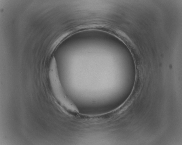 X0000077381177200611101722