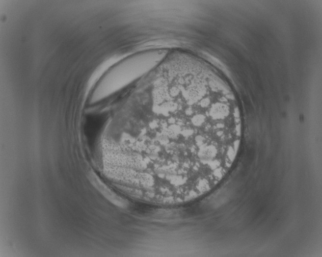 X0000077381179200611101722