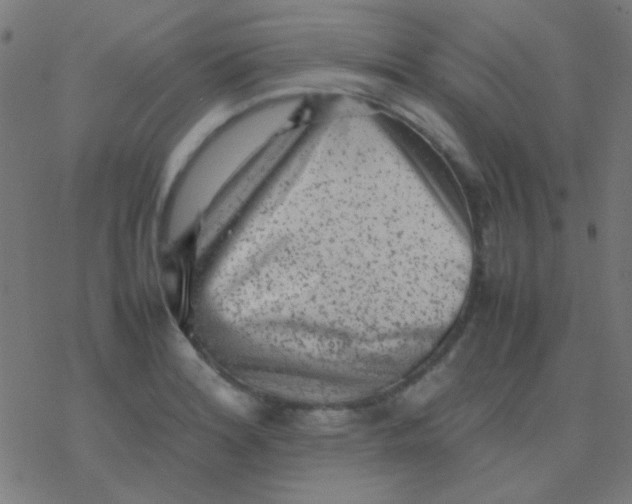 X0000077381180200611101722