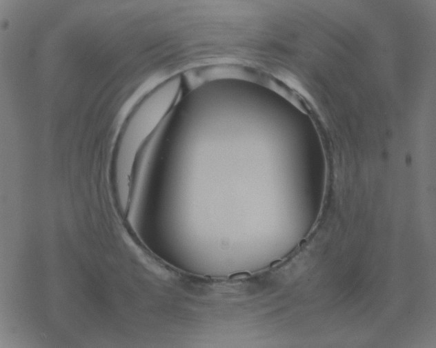 X0000077381181200611101722