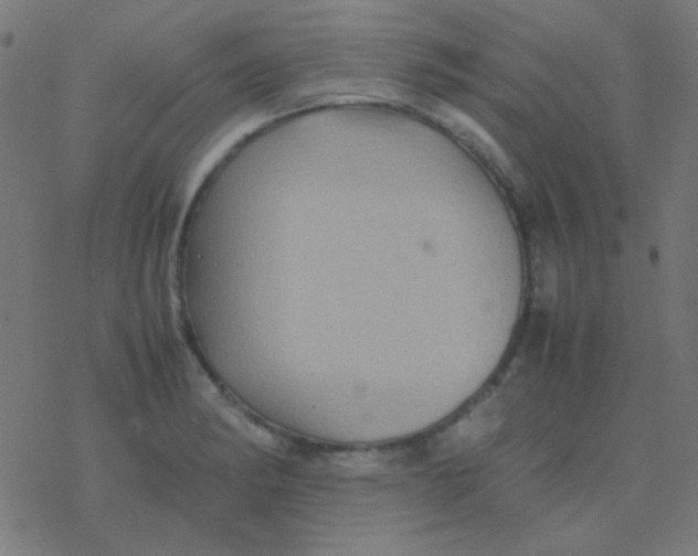 X0000077381182200611101722