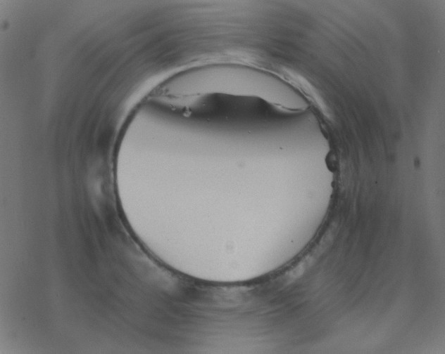 X0000077381184200611101722