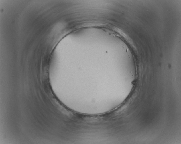 X0000077381185200611101722