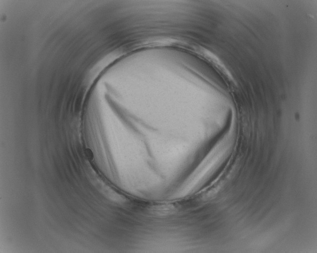 X0000077381186200611101722