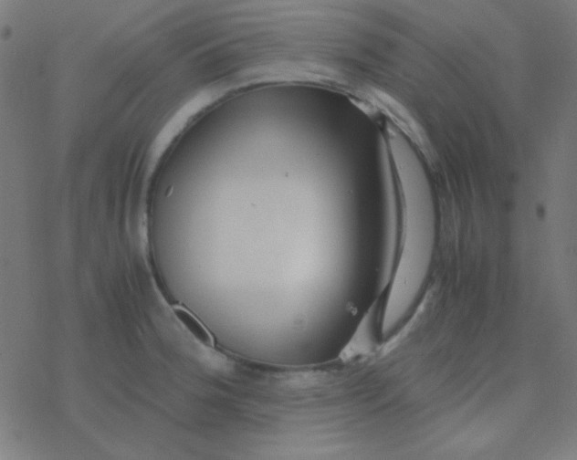 X0000077381188200611101722