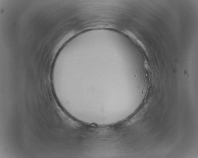 X0000077381189200611101722