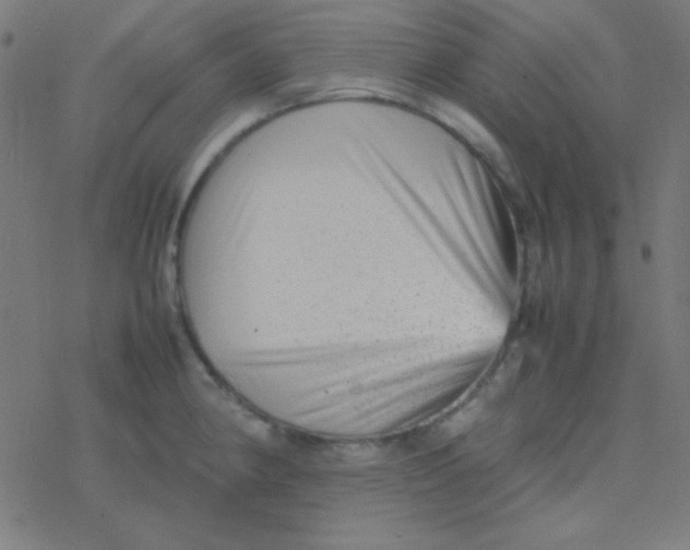 X0000077381190200611101721