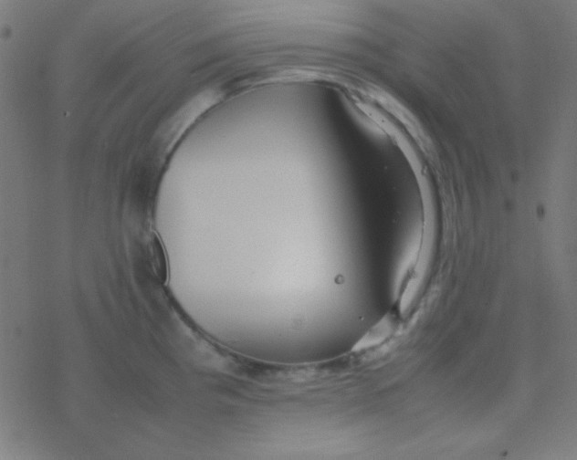 X0000077381193200611101721